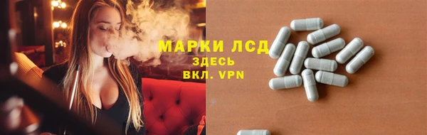 мяу мяу мука Аркадак