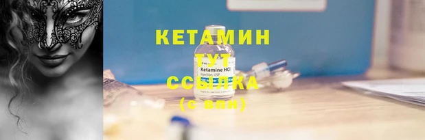 гидра Алексин