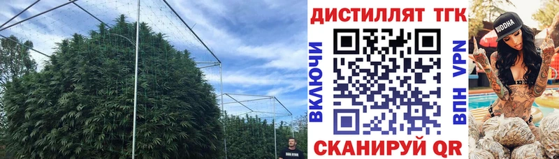 Дистиллят ТГК вейп  Трубчевск 