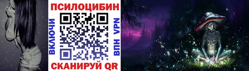Галлюциногенные грибы ЛСД  Трубчевск 
