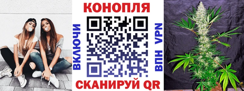 купить закладку  Трубчевск  Конопля SATIVA & INDICA 